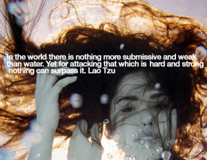 ... that which is hard and strong nothing can surpass it. Lao Tzu [/quote