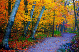 Grant Park pathway in Southern Milwaukee, Wisconsin during an autumn ...