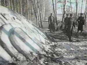 Footage of the alleged crashed UFO near Berezovsky (Sverdlovsk region)