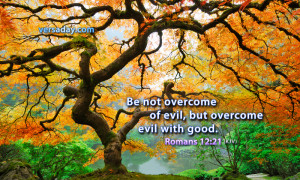 of evil but overcome evil with good romans 12 21