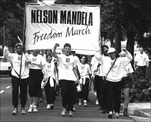 Nelson Mandela Working Towards Freedom