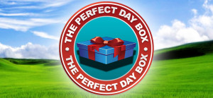 quotes perfect day box fundraiser quotes the perfect day box earns ...