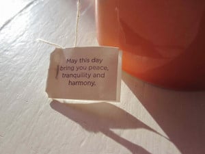 This tea bag quote is the inspiration to blog this morning.