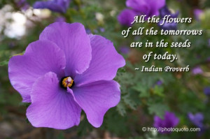 ... Flowers Of All The Tomorrows Are In The Seeds Of Today - Flower Quote