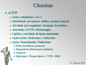 Citocinas α-TNF Ações redundantes a IL-1. Identificado ...