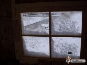 Portable ground blind