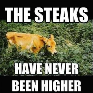 The steaks have never been higher! #420 #meme #420meme