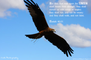 Isaiah 40:31 – Soar on Wings Papel de Parede Imagem