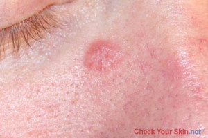 Funny Quotes Contact Dmca...