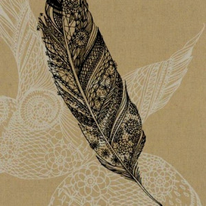 Bohemian Feather picture