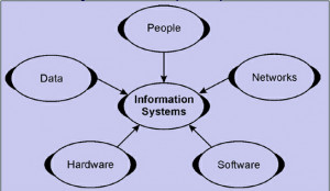 Components of Information System Assignment Help