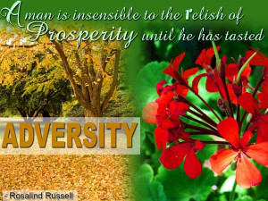 Popular Adversity Quotes and Sayings