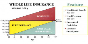 whole life insurance quotes