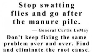 Stop swatting flies and go after the manure pile
