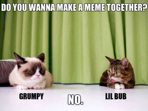 Candid Shot Of Grumpy Cat And Lil Bub Hanging Out Again