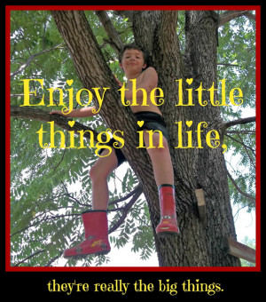 Enjoy the little things in life, they're really the big things. Go ...