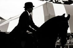 Friesian Silhouette, Saddleseat, Friesian, Mystical Photography More