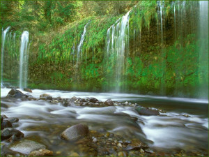 Waterfall In A Jungle , Nature And Landscapes Wallpapers