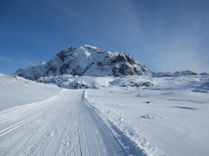 Sarah 'Hurricane' Murphy