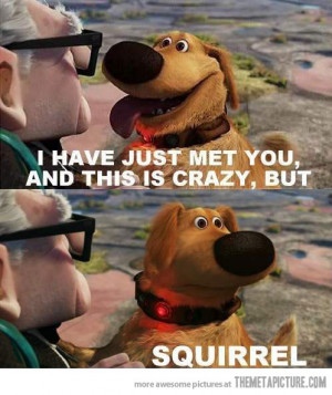 Funny photos funny dog Up squirrel