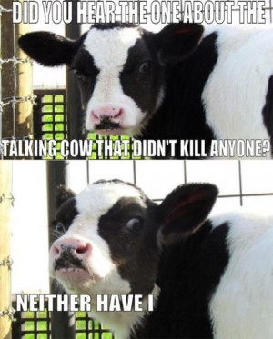 funny-picturre-cow-killer