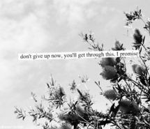 Black and White Flower Quotes