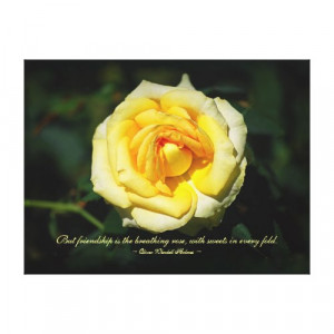 Friendship Quote Yellow English Rose Stretched Canvas Print by ...