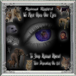 stand up for animals they need us as we need need them