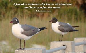 friendship quotes friendship sayings quotes about friends quotes about ...
