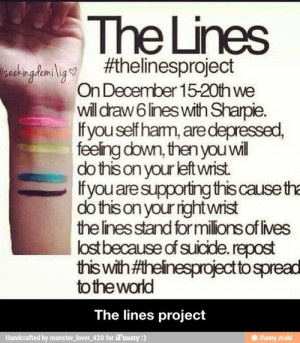 What is The Lines Project?