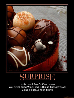 forrest gump spoof quote p demotivational poster 1250584393 jpg