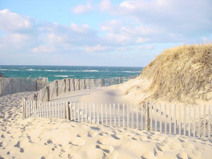 Where+Is+Cape+Cod | Wintertime Cape Cod beach. USA