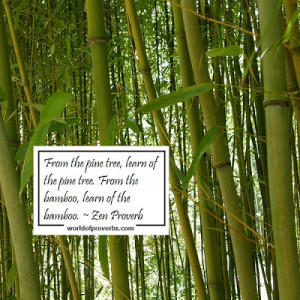 quotes and sayings database bamboo quotes and positive quotes about ...
