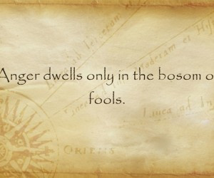 anger dwells quotes