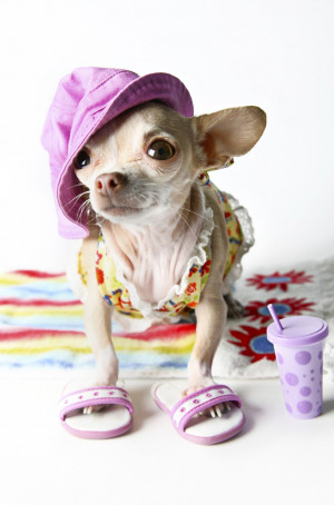 today is a lazy blogging day, so i thought i'd share some of my ...