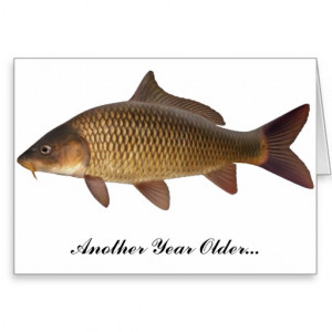 carp_fishing_birthday_card-r40d8a1ea54a14493846c35ca63862101_xvuak ...