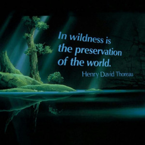 Wilderness/Thoreau
