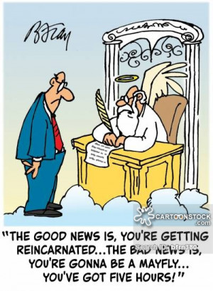 Funny Quotes Contact Dmca...