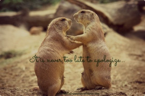 apology poem apologize with all my heart cute epic sorry
