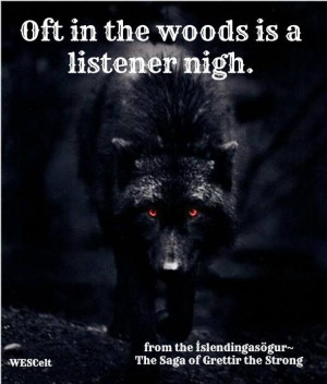 ... awareness is critical for any warrior #Norse #Viking #Wolf #Warrior