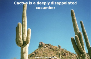 Cactus is a deeply disappointed cucumber - Funny Quotes - StatusMind ...