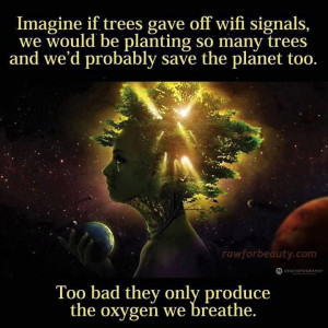 If trees gave off wifi signals