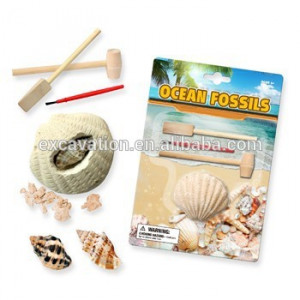 Dig and Discover dig it out Ocean Life Excavation Fossils (sea shell ...