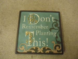 ... Mini Plaque I Don’t Remember Planting This Funny Sayings Collection