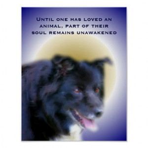 Border Collie Animal Love Soul Inspirational Poste Posters