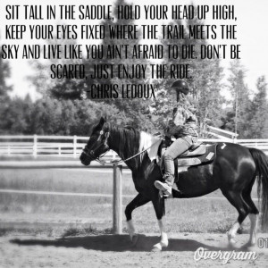 , Horse Quotes, Equestrian Quotes, Hors Quotes, Enjoy, Horsey Quotes ...