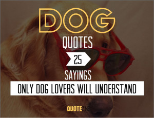 dog-quotes-25-best.jpg