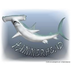 hammerhead_shark_postcards_package_of_8.jpg?height=250&width=250 ...