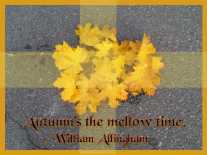 Funny Autumn Quotes1