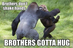 ... – Brothers Lyrics and leave a suggestion at the bottom of the page